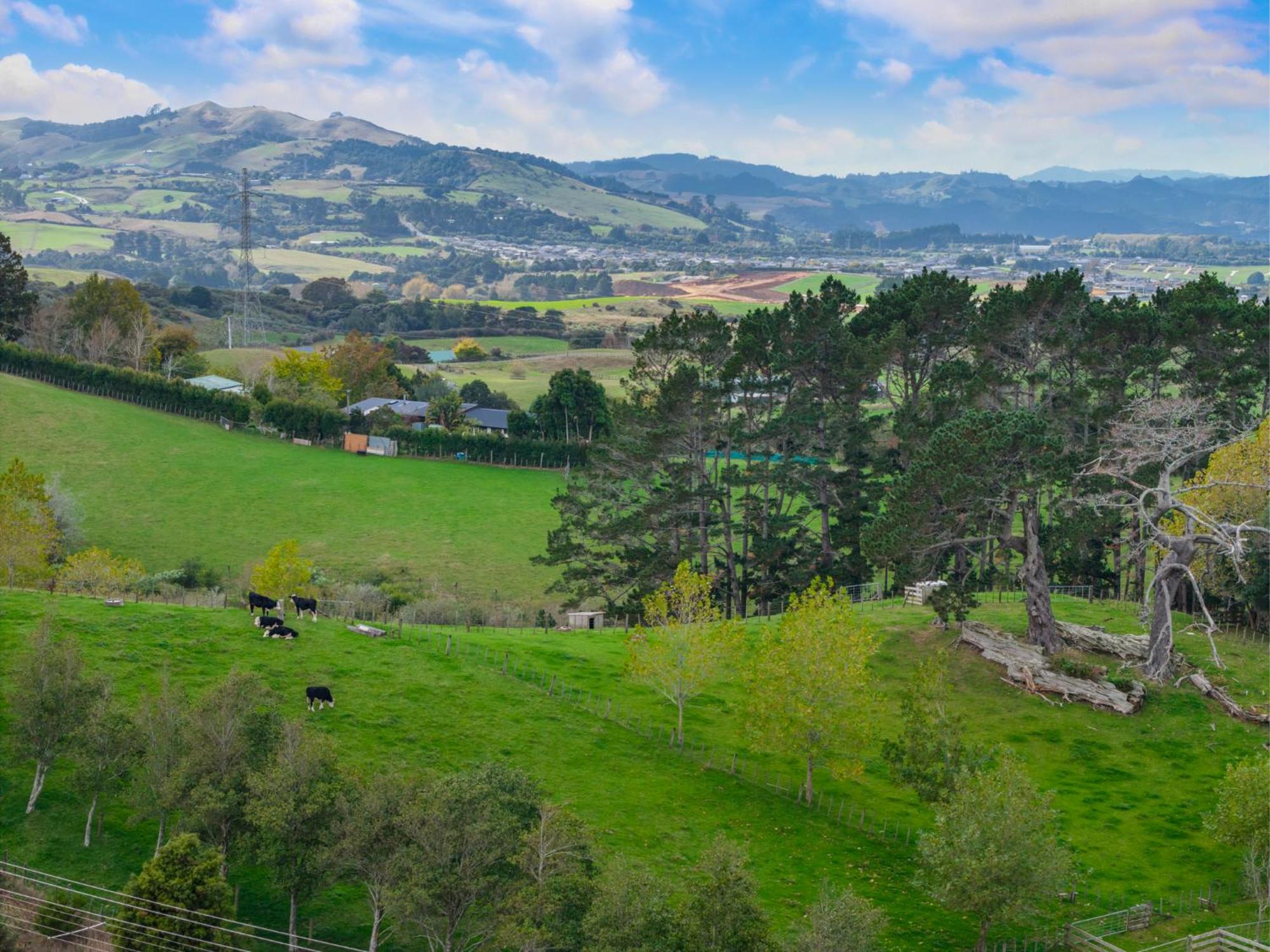 Pine Hill -auckland Villa